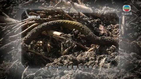 图片_e23c4c97