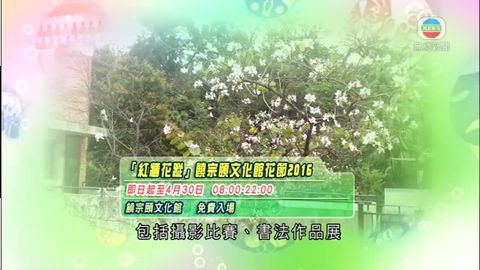 4月15日 周末闖蕩