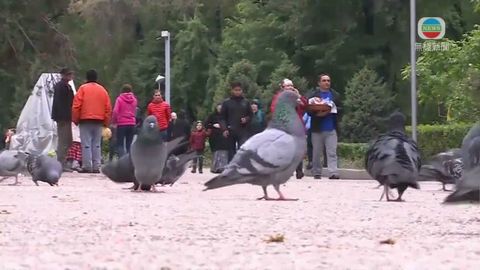 图片_1423b115