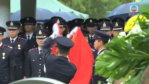 图片_5e4b354c