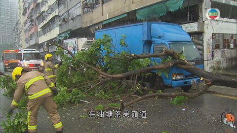 油塘茶果嶺道有樹倒塌壓毁貨車 消防到場清理