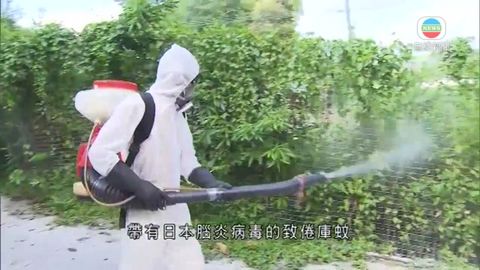 有致倦庫蚊帶日本腦炎病毒 學者籲市民清理積水