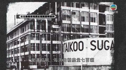 探古尋源:昔日荒蕪鰂魚涌 見證糖廠百年史 探古尋源:昔日荒蕪鰂魚涌 見證糖廠百年史