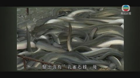 時事通識:孔雀石綠 時事通識:孔雀石綠