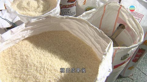 探古尋源:逾40年米舖見證香港變化 傳統米舖式微 探古尋源:逾40年米舖見證香港變化 傳統米舖式微