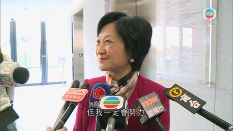 葉劉稱若獲黨內支持參選 將辭去行會成員職務