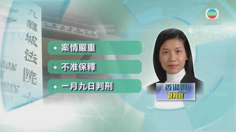 17歲少年承認旺角暴亂向警擲磚 還押候刑 17歲少年承認旺角暴亂向警擲磚 還押候刑