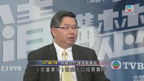 政府擬古董象牙出入口需先申請許可證 無理據賠償業界