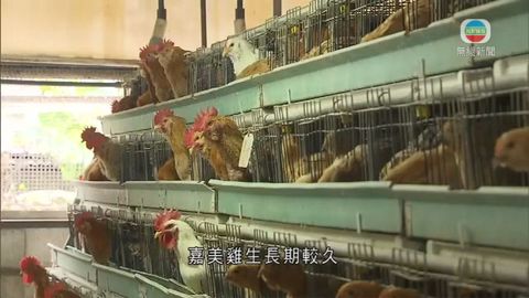 售貨員違商品例 銷售商指售賣地有嘉美雞證書 售貨員違商品例 銷售商指售賣地有嘉美雞證書