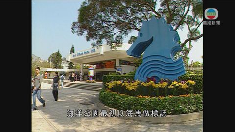 海洋公園40周年 為港人帶來無數回憶 海洋公園40周年 為港人帶來無數回憶