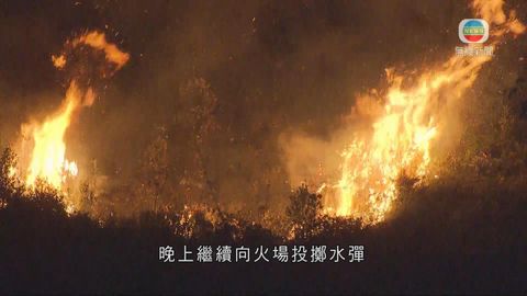 小瀝源山火已焚燒逾30小時 多輛消防車山腳戒備