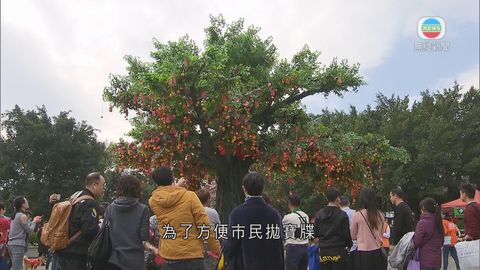 有市民到林村祈福 新界有鄉村燃放爆竹慶祝雞年