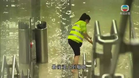 图片_676e9814