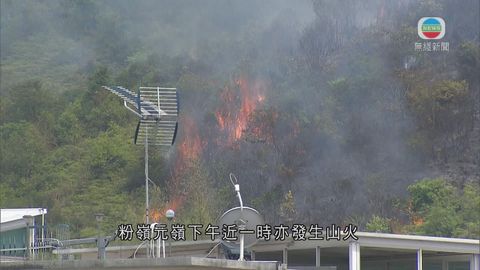消防處接獲最少25宗山火報告 粉嶺山火一度逼近民居