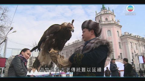 图片_9b8494b6