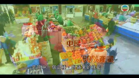 图片_fe4b12c7