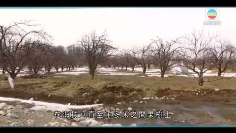 图片_e3ab6ff0