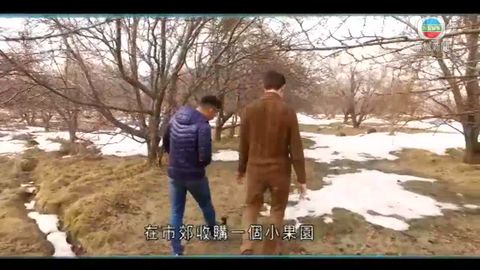 图片_211dd4c0