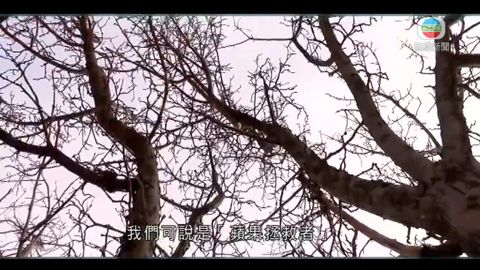图片_fb25277e