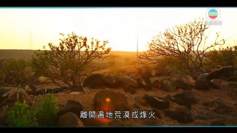 图片_fc93ebc3