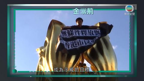 時事通識：金紫荊
