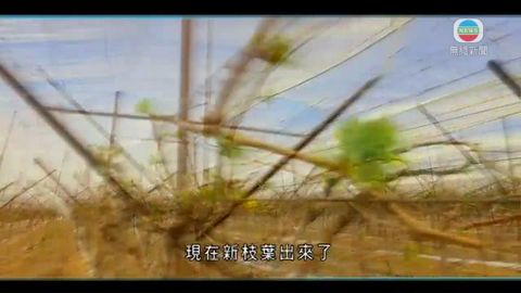 图片_3860fbf8