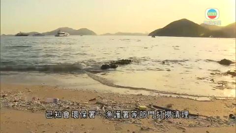 香港海面現油污 專家稱為棕櫚硬脂無毒無害