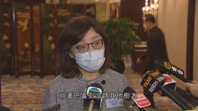 甯漢豪指要求轄下部門檢視路旁大樹 康文署十月初交何文田塌樹調查報告 無綫新聞tvb News