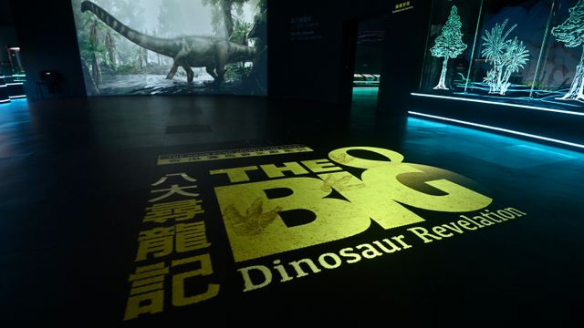 無綫新聞 TVB News 無綫新聞 TVB News