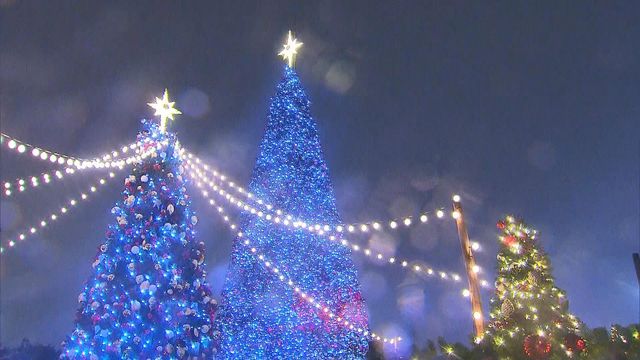 無綫新聞 TVB News