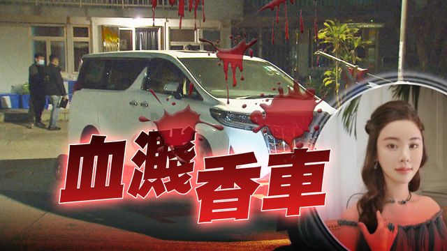 图片_63cc912e