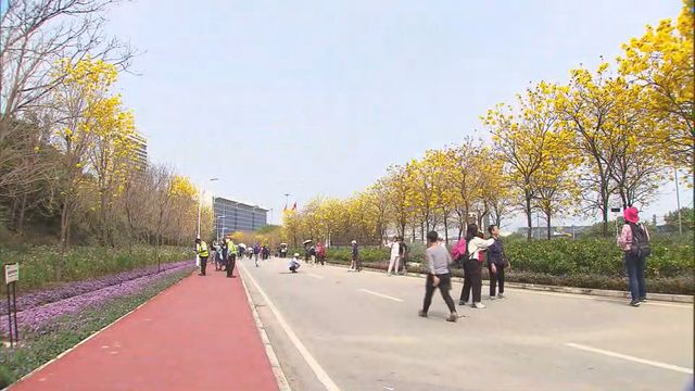 無綫新聞 TVB News