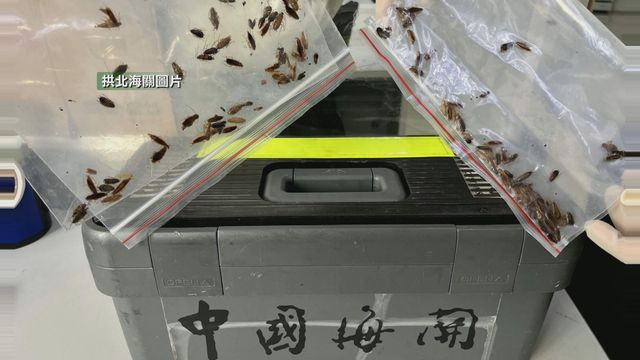 無綫新聞 TVB News 無綫新聞 TVB News