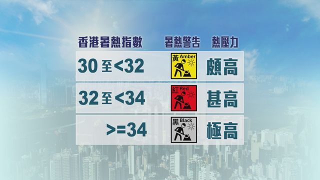 無綫新聞 TVB News