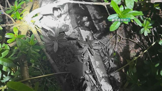 無綫新聞 TVB News