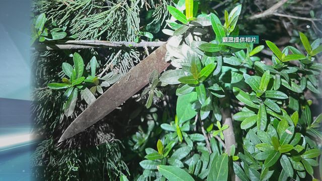 無綫新聞 TVB News