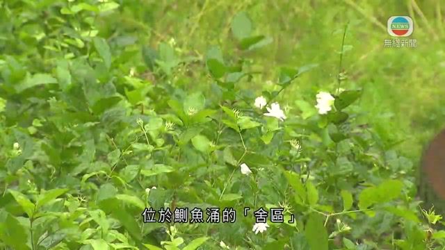 图片_7ef38414