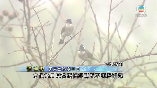 图片_13acedc5