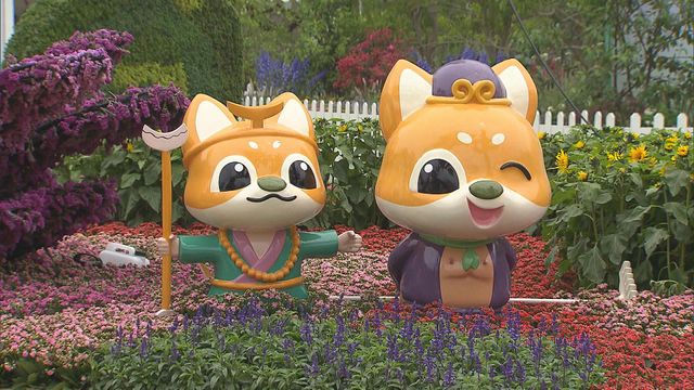 無綫新聞 TVB News 無綫新聞 TVB News