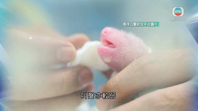 图片_0f4eb1d9
