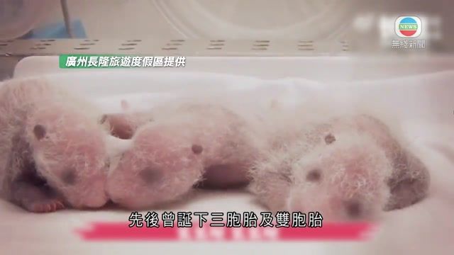 图片_5165ea1e