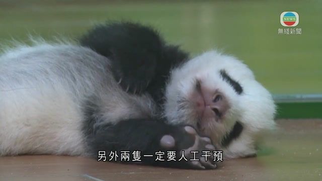 图片_fbc2c23e