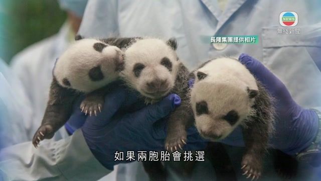 图片_3b9d3be5