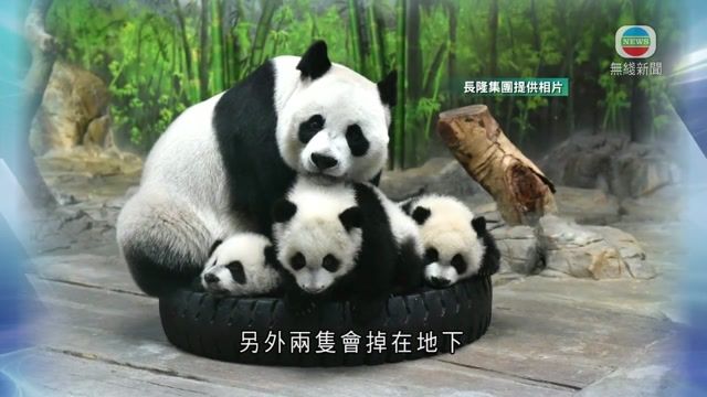 图片_71bfb6af
