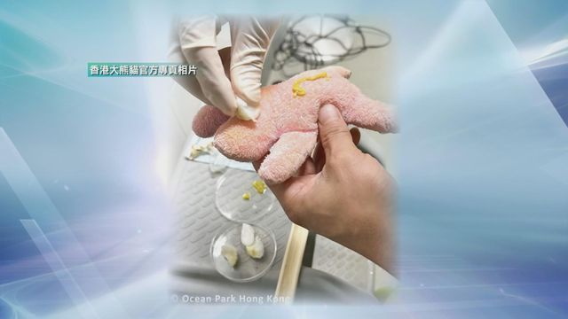 無綫新聞 TVB News