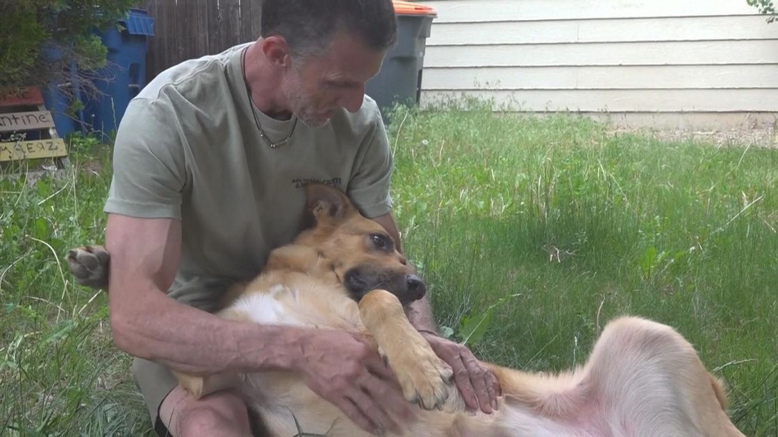 There is an animal rehabilitation program in the United States to help drug addicts regain their lives. Those who have experienced it say that raising a dog makes the home full of love | TVB News