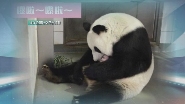 無綫新聞 TVB News