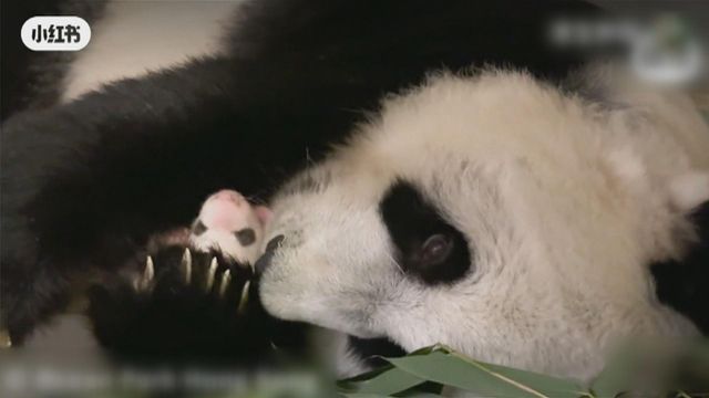 無綫新聞 TVB News