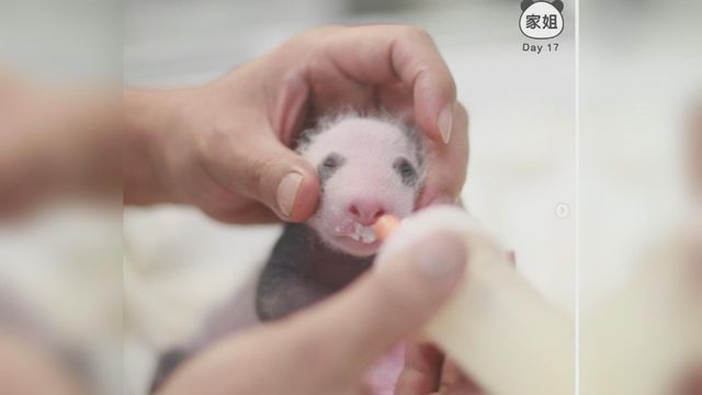 無綫新聞 TVB News