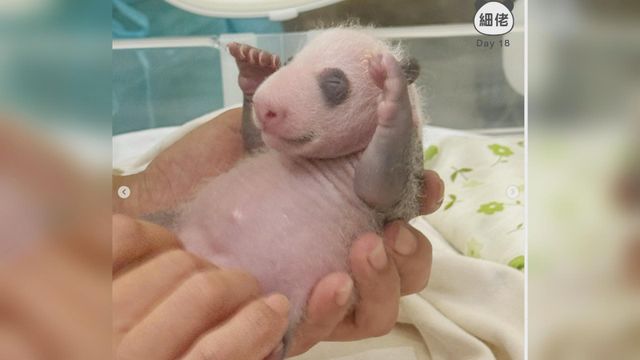 無綫新聞 TVB News